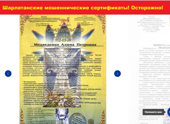 Medvedenko alina (2)